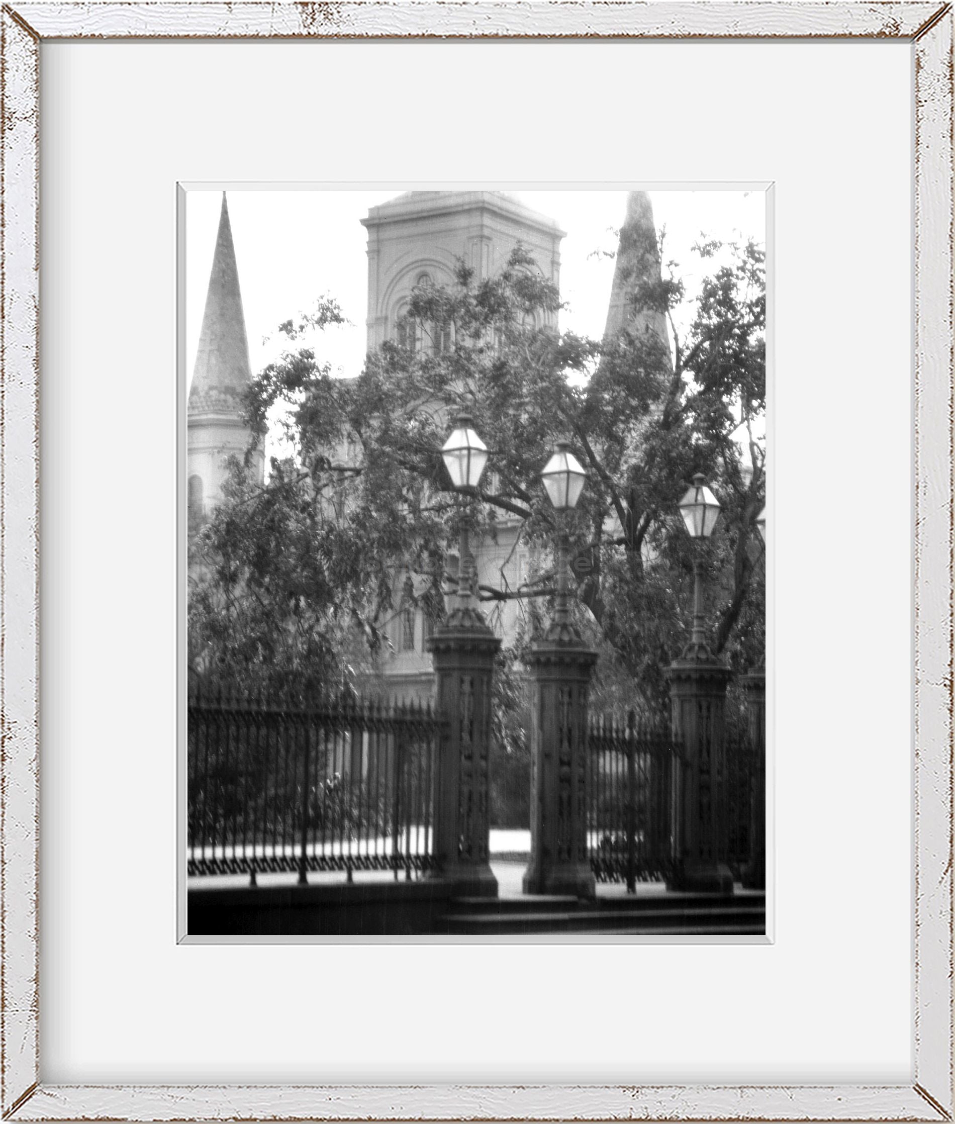 Historic Photos 1920 Photo St. Louis Cathedral from Jackson Square, New Orleans