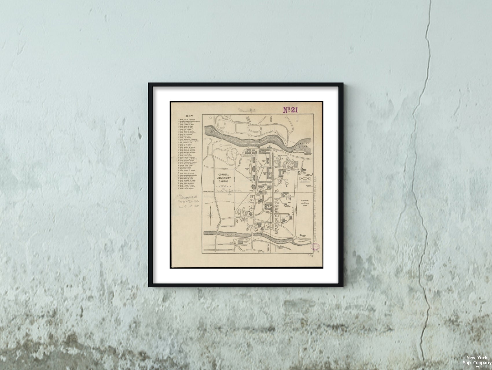 1905 Map New York|Tompkins|Ithaca|Cornell University campus vintage reprint