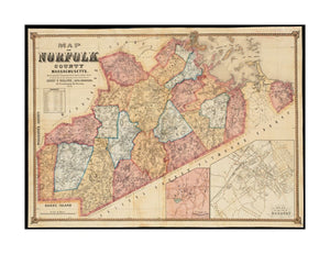 1853 Map | Norfolk | of Norfolk County, Massachusetts: based upon the trigonometrical survey of the state of: Roxbury, Dedham Village, statistics. Shows buildings and householders' names.