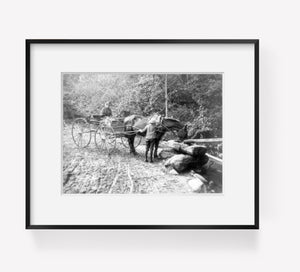 Photo: The Roadside Watering Trough, c1890, two people, horse-drawn wagon, stream?