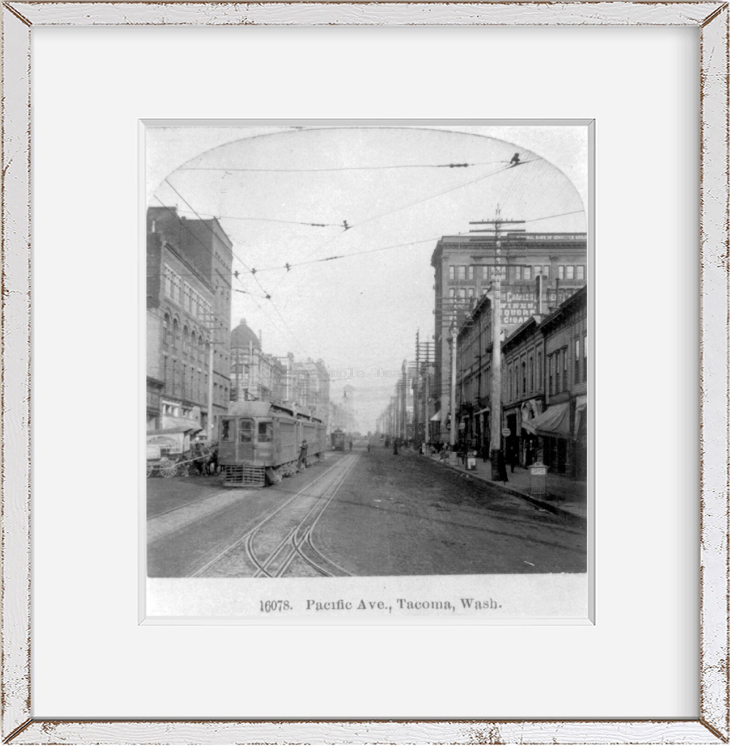 1904 Photo Pacific Ave., Tacoma, Wash.