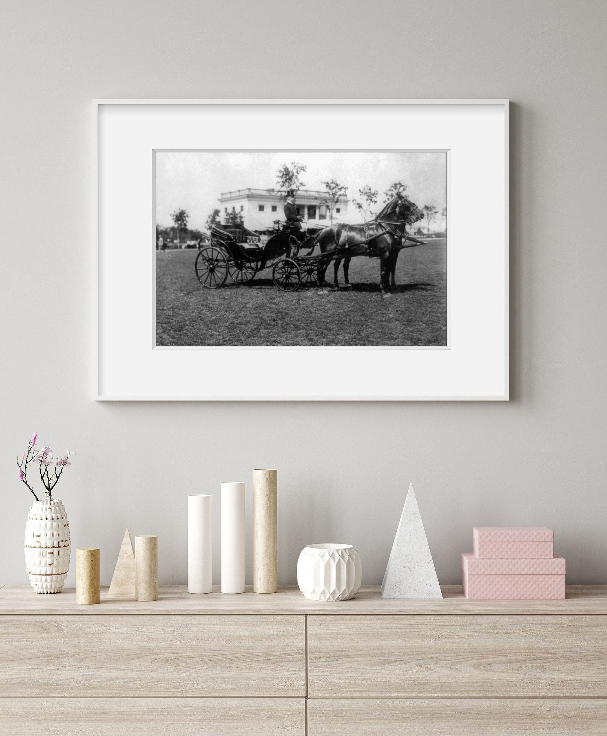 1904 Photo A carriage drawn by two horses