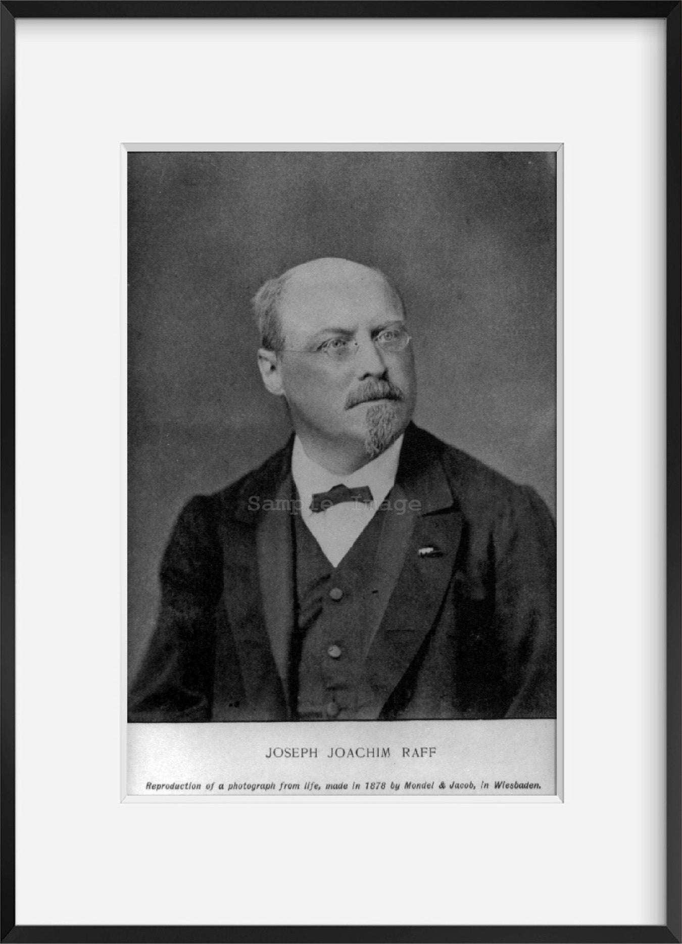 1878 photograph of Joseph Joachim Raff