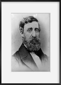 1879 Photo Henry David Thoreau, head-and-shoulders portrait, facing slightly rig