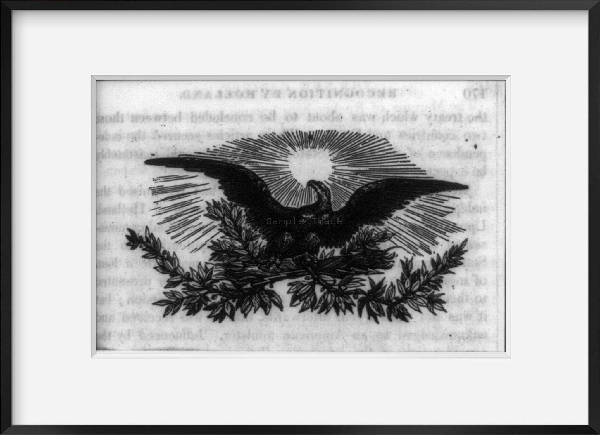Vintage photograph: American bald eagle