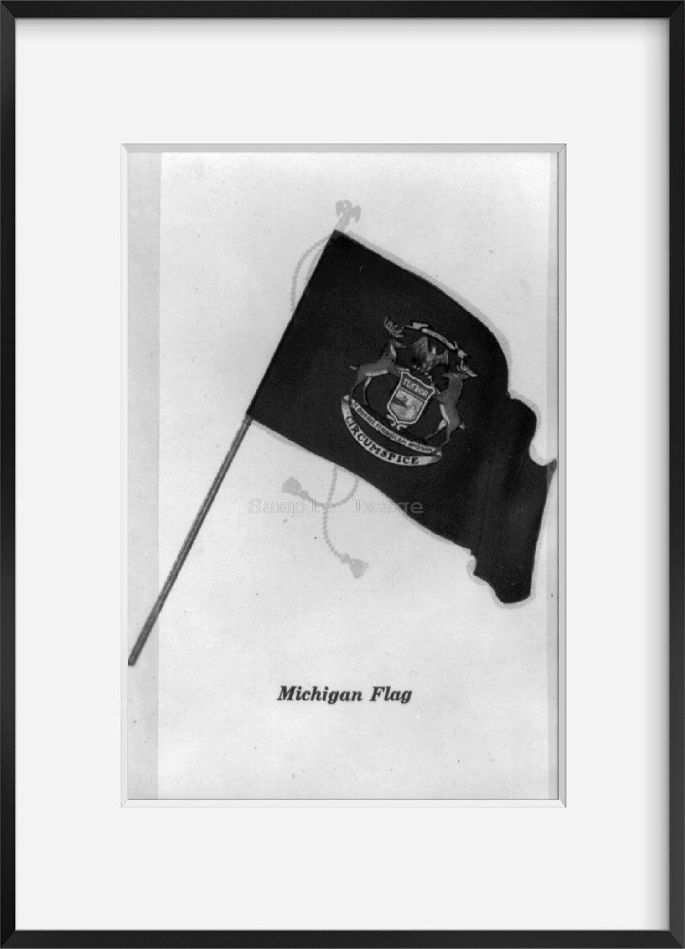 Vintage photograph: Michigan flag