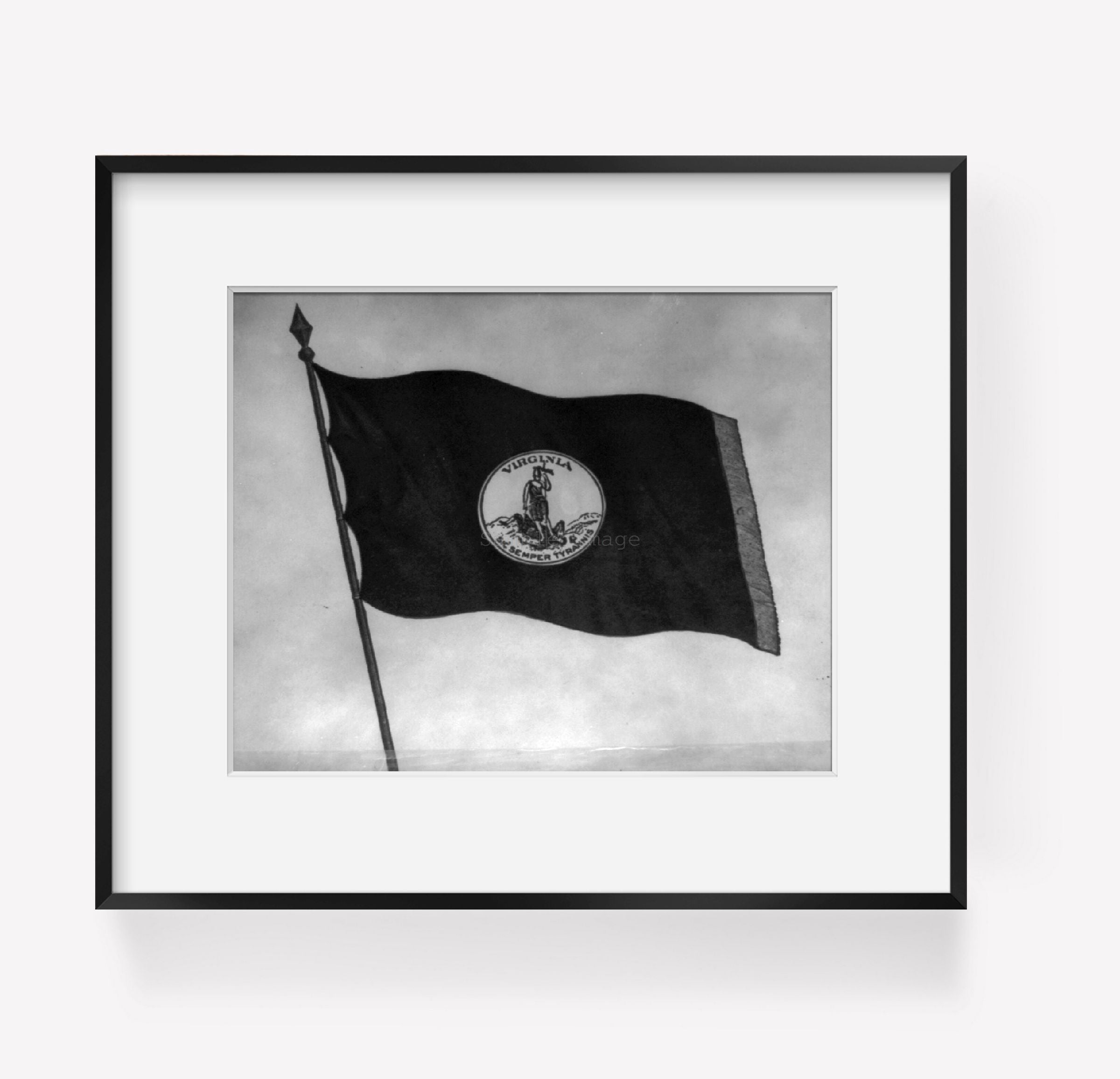 Vintage photograph: Virginia flag - Reproduction