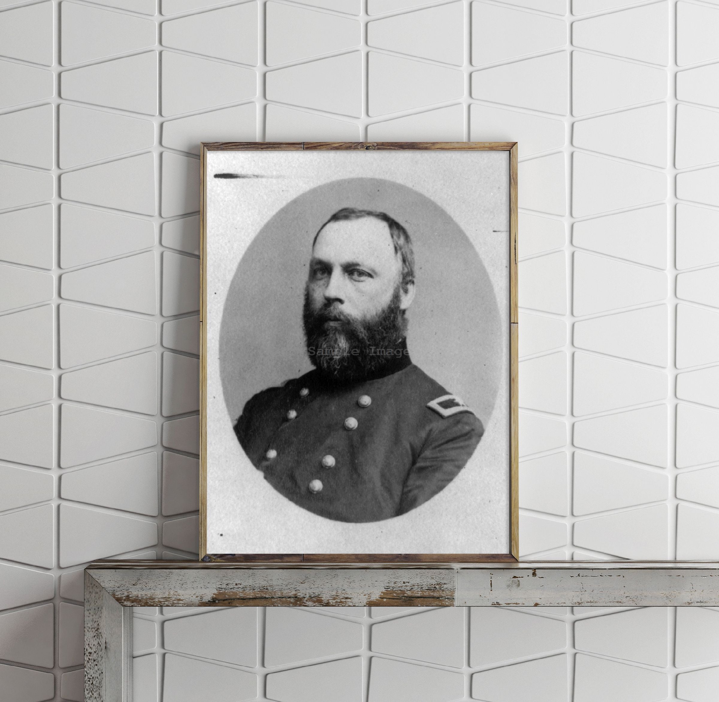 Photo: Brigadier General William Alexander Hammond, 1828-1900, military physician