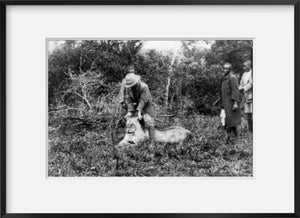 1912 photograph of Paul J. Rainey's African hunt