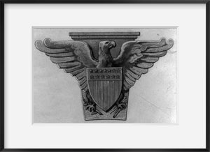 Vintage photograph: The eagle, emblem of America