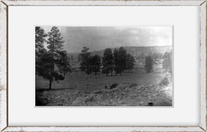 1887 photograph of Flagstaff, Arizona, 1887
