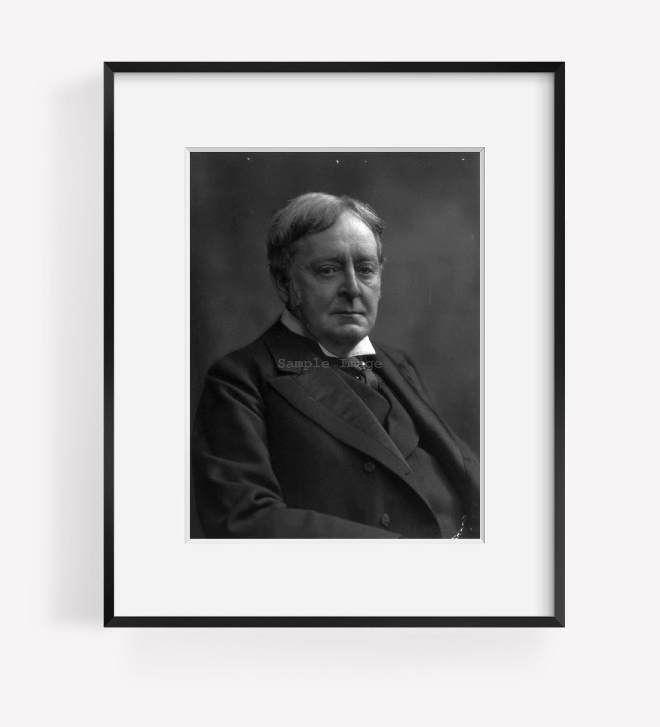 Photo: Joseph Hodges Choate, 1832-1917, American lawyer, diplomat