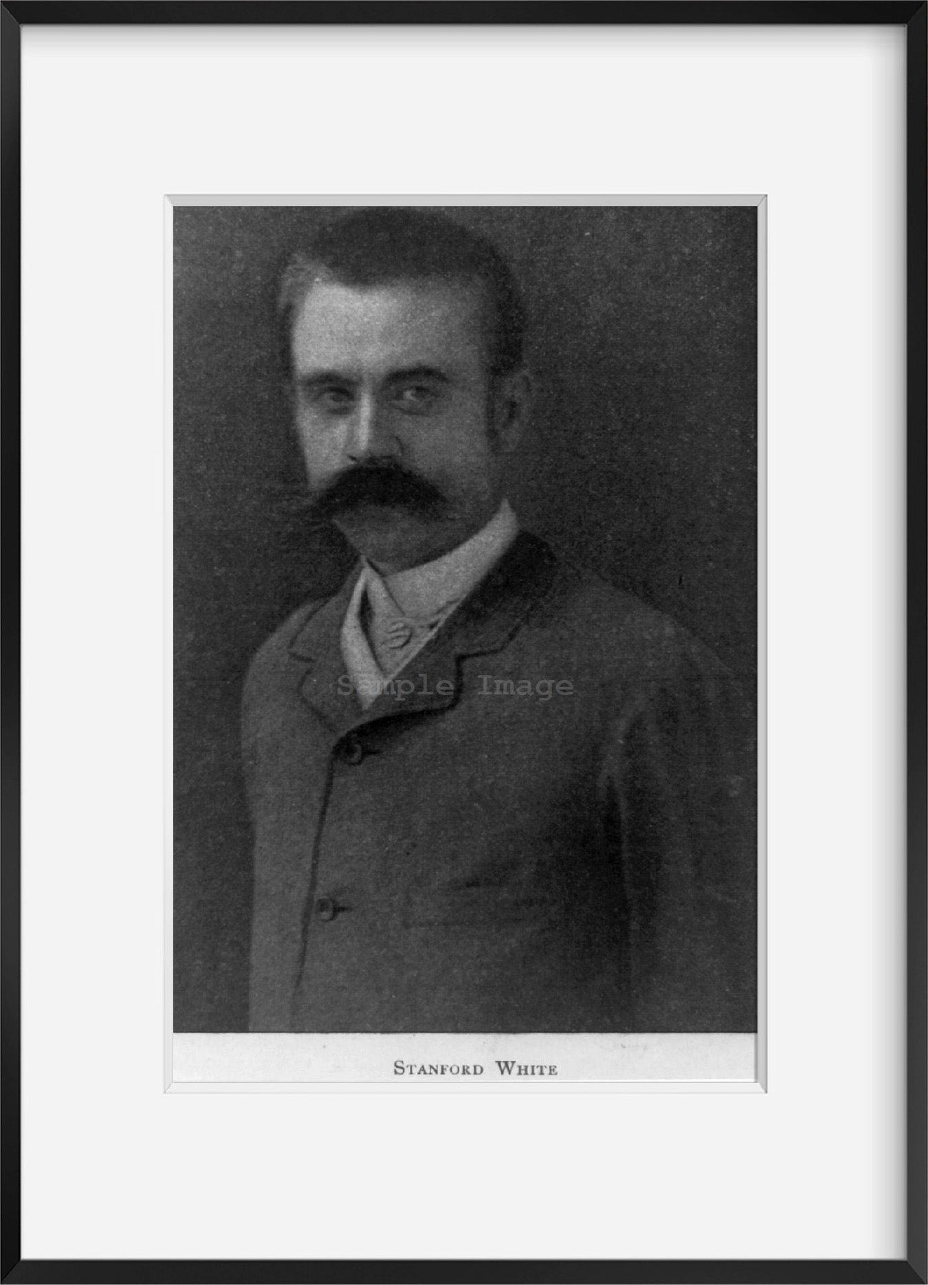 1895 photograph of Stanford White, 1853-1906 Summary: Half lgth., facing left.