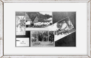 Vintage ca. 1912 photograph: Composite scenes of Guam, ca. 1912: water buffaloes