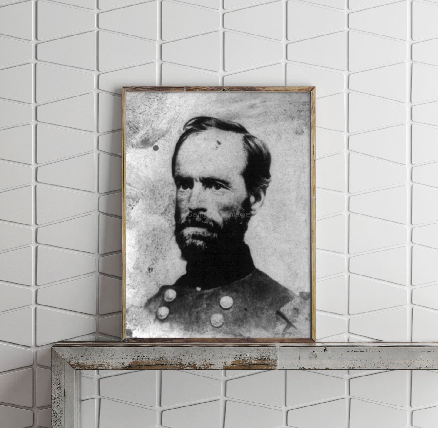 Photograph of William Tecumseh Sherman, 1820-1891 Summary: Head and shoulders, f