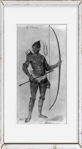 Photo: Warrior of Florida, Indians of North America, Timucua Warrior, Arrows, Bo