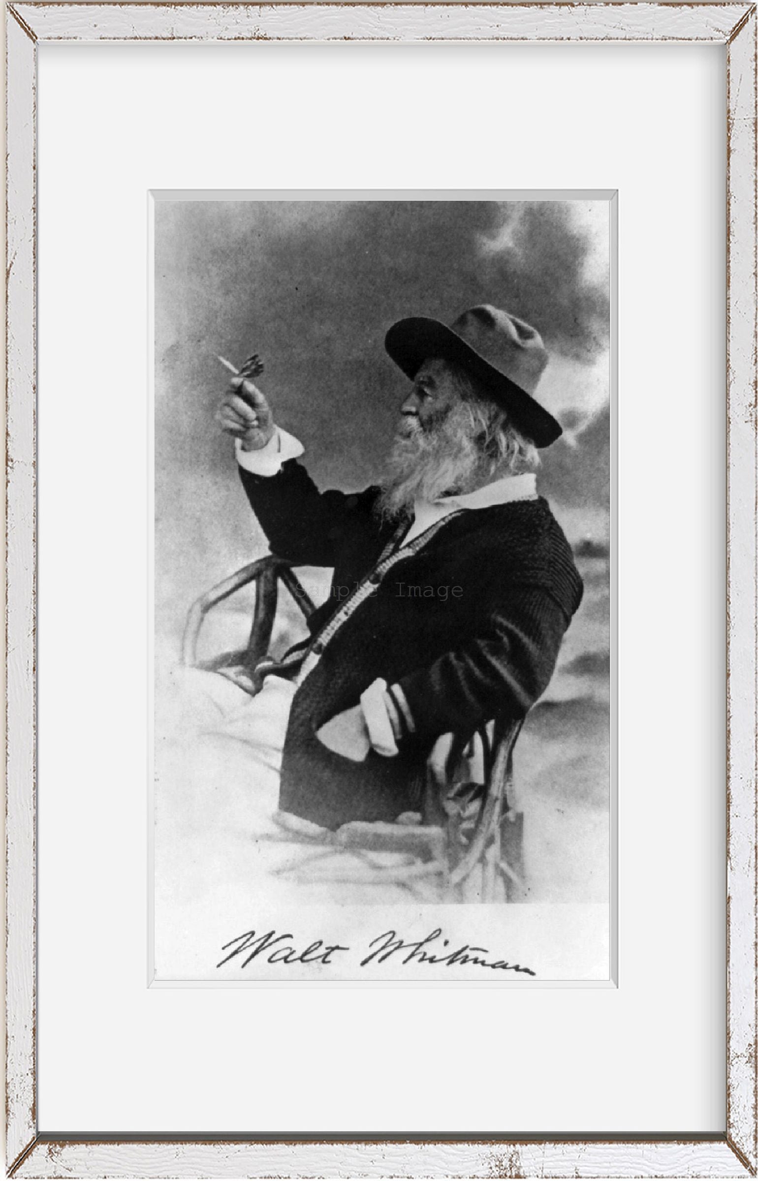 Photo: 1873 Walt Whitman Photograph Picture Print Butterfly 1