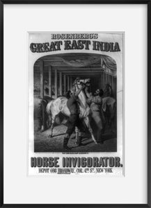 Photo: Rosenberg's great east India horse invigorator, c1861, horses, men, animals