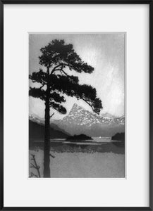 Photo: Dawn, 1920, Landscape, Nature, Tree, Mountains, John Taylor Arms