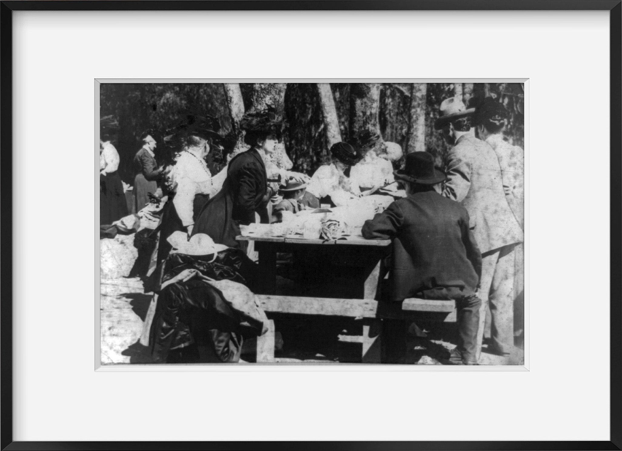 Photo: Picnicing, Sycamore Grove, Los Angeles, California, 1910, Table, Eating, Sunny W