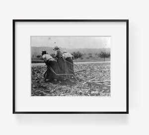 1916 Photo Peasants in the re-taken Somme District work hard without horses or c
