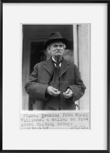 1923 Photo John Sharp Williams Half-length portrait, standing outdoors.