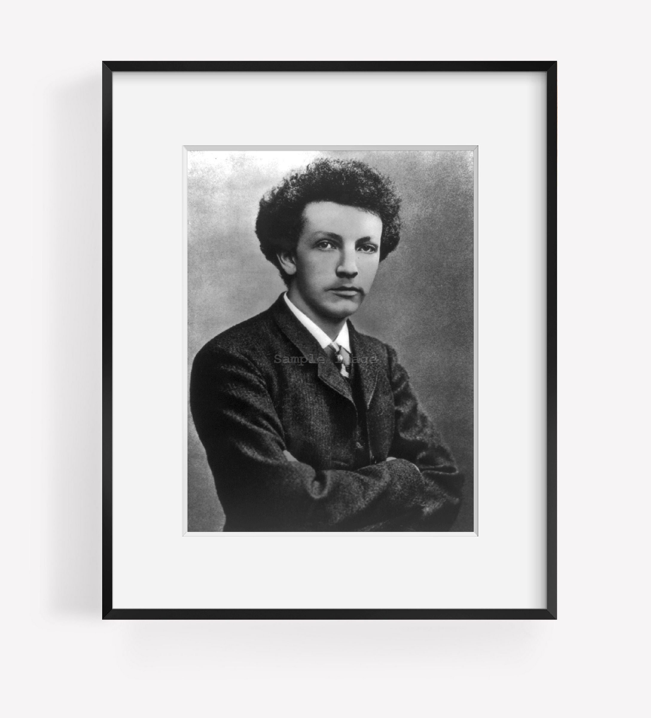 Photo: Richard George Strauss, age 24, 1864-1949, composer