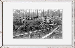 Photo: Shallow pit phosphate mine, Dunnellon, Florida, FL, African American Labo