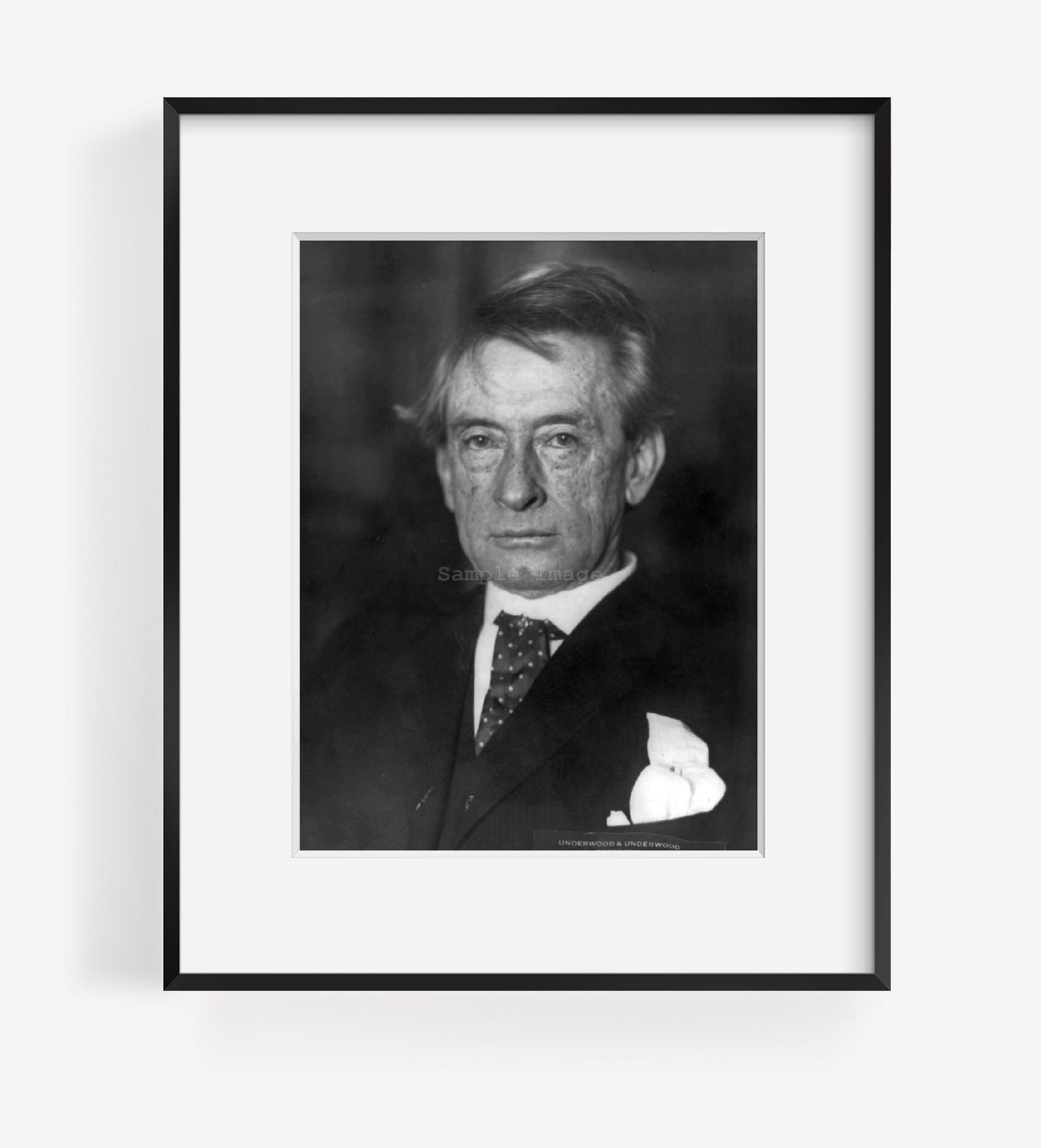 ca. 1920 photograph of Thomas Edward Watson, 1856-1922, bust portrait