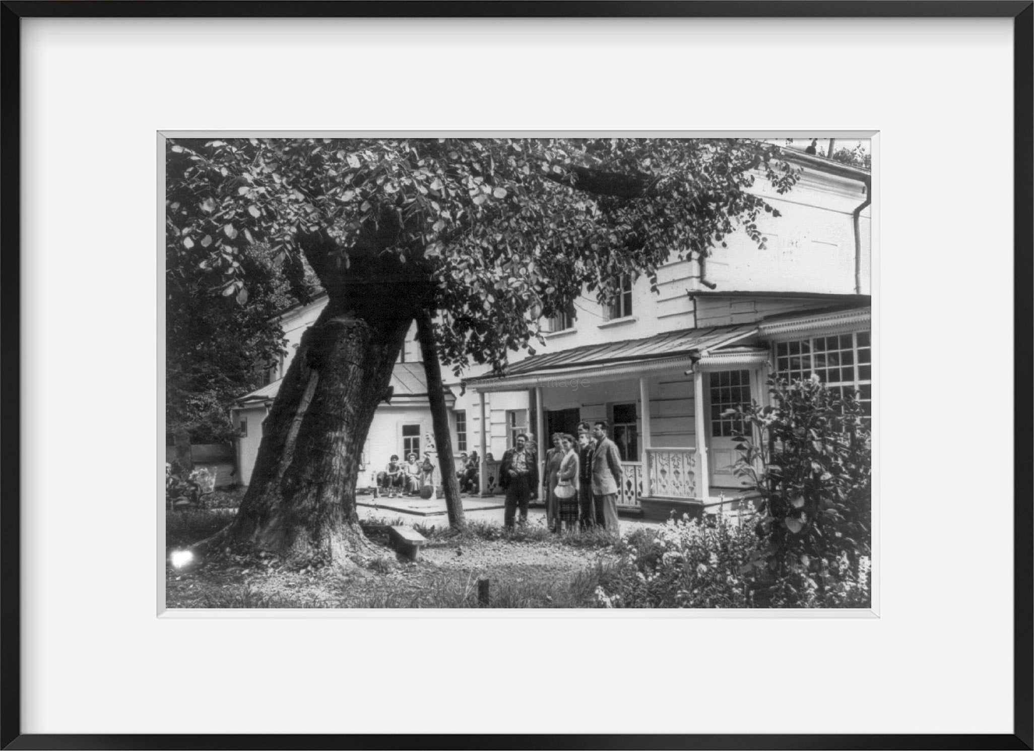 1960 photograph of Yasnaya Polyana, Russia. 1960: tourists beside elm, "the poor
