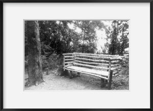 1960 photograph of Yasnaya Polyana, Russia. 1960: Tolstoi's bench in "little fir