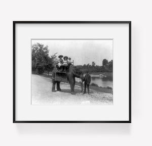 c1905 photograph of Three children riding an elephant at New York Zoological Par