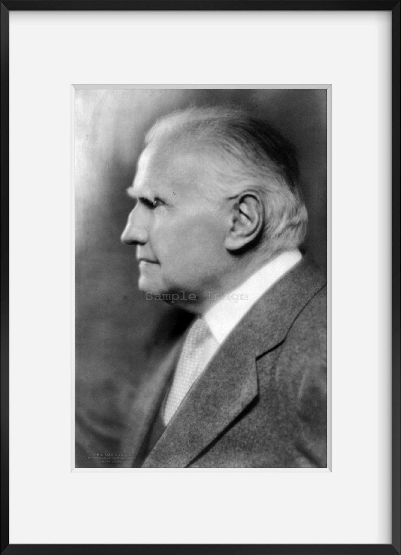1919 photograph of Walter Damrosch, bust, left profile