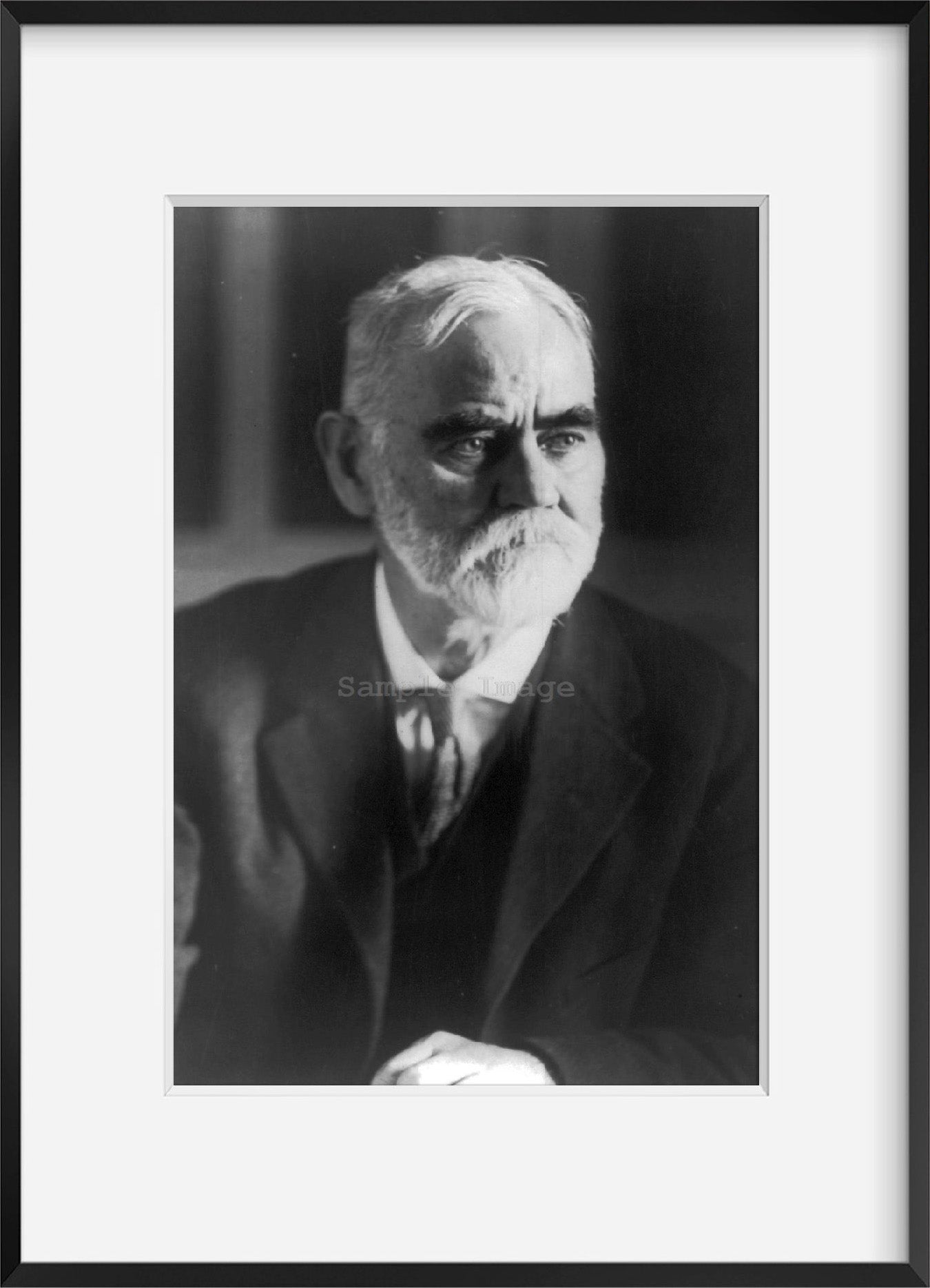 Photo: James Robert Mann, 1856-1922, American legislator