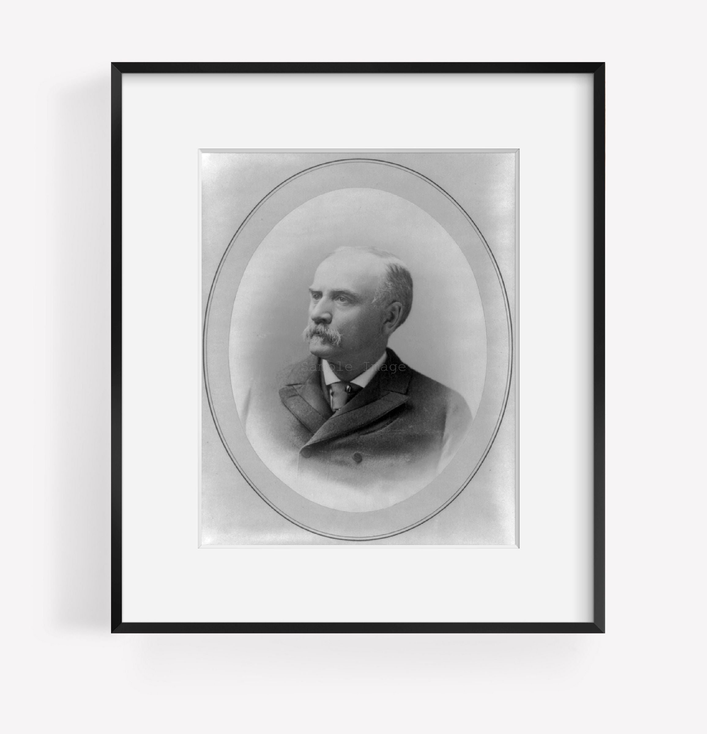 Photo: Julius Sterling Morton, 1832-1902, Nebraska editor, Bourbon Democrat, conserv