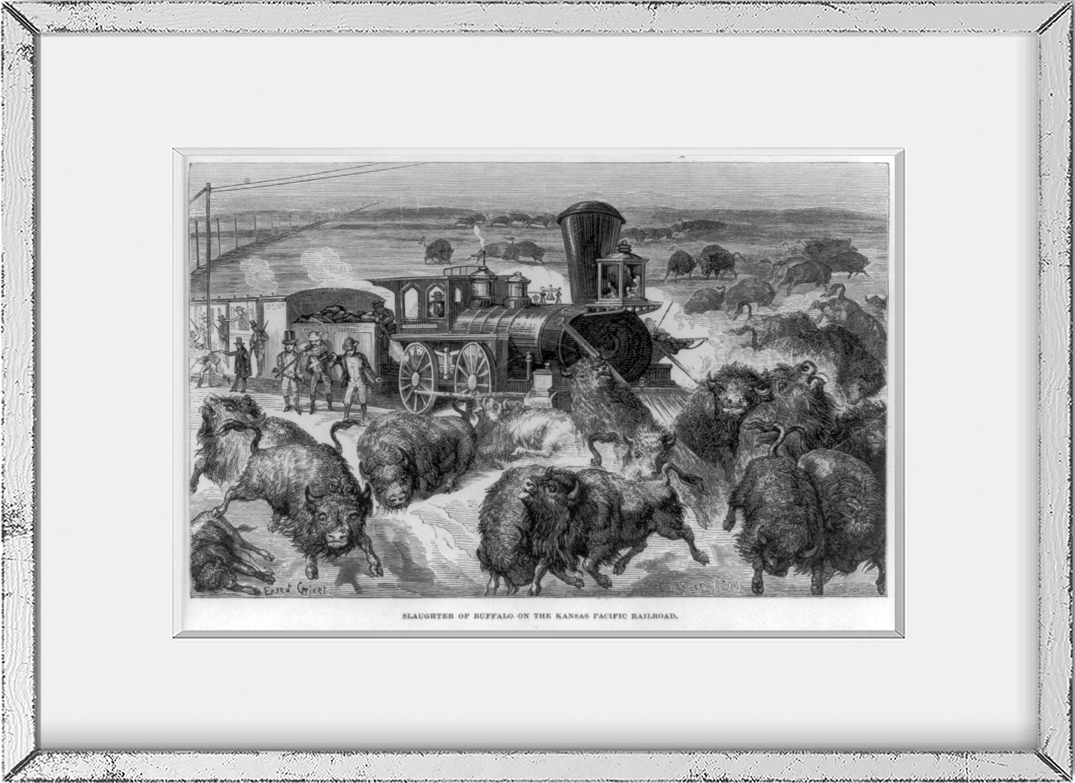 Photo: Slaughter of Buffalo on The Kansas Pacific Railroad, Ernest Griest, W. Meas