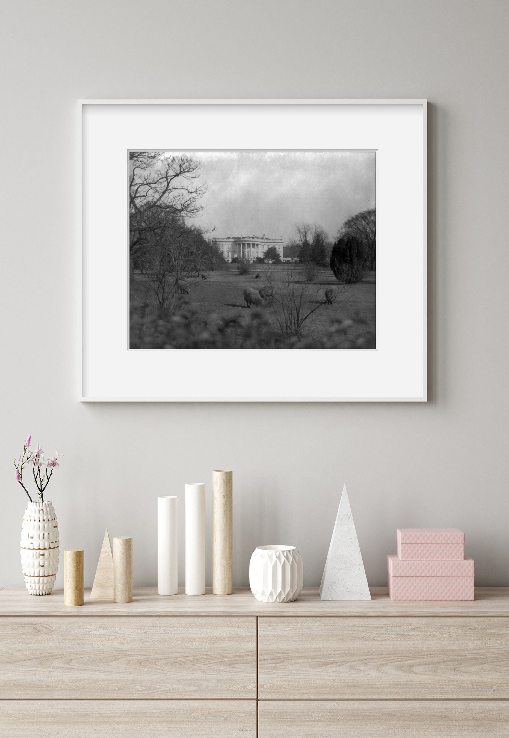 between 1914 and 1920 photograph of D.C. Wash. White House. Sheep grazing on the