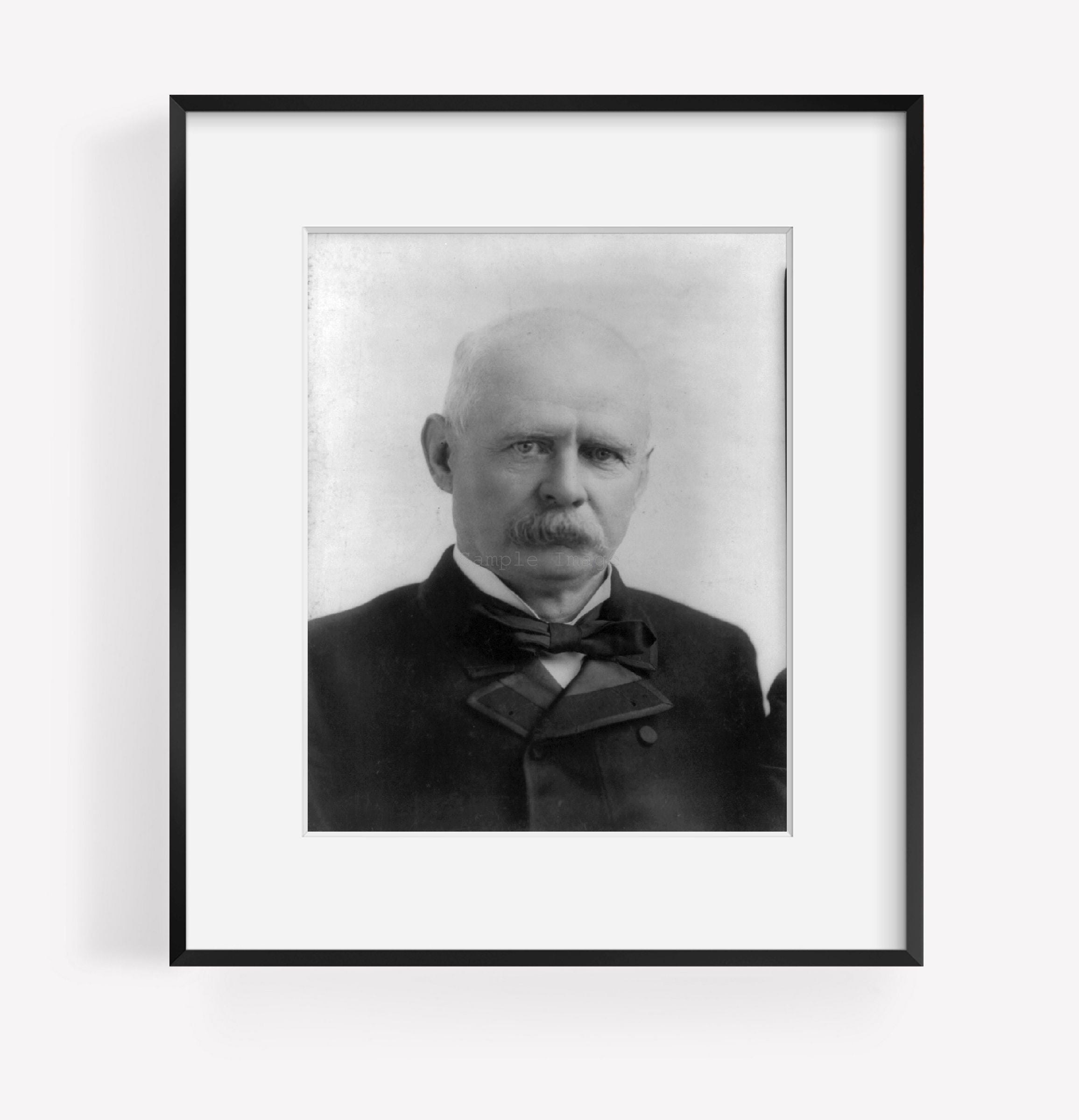 1892 Photo Adlai Ewing Stevenson, 1835-1914, head-and-shoulders portrait, facing