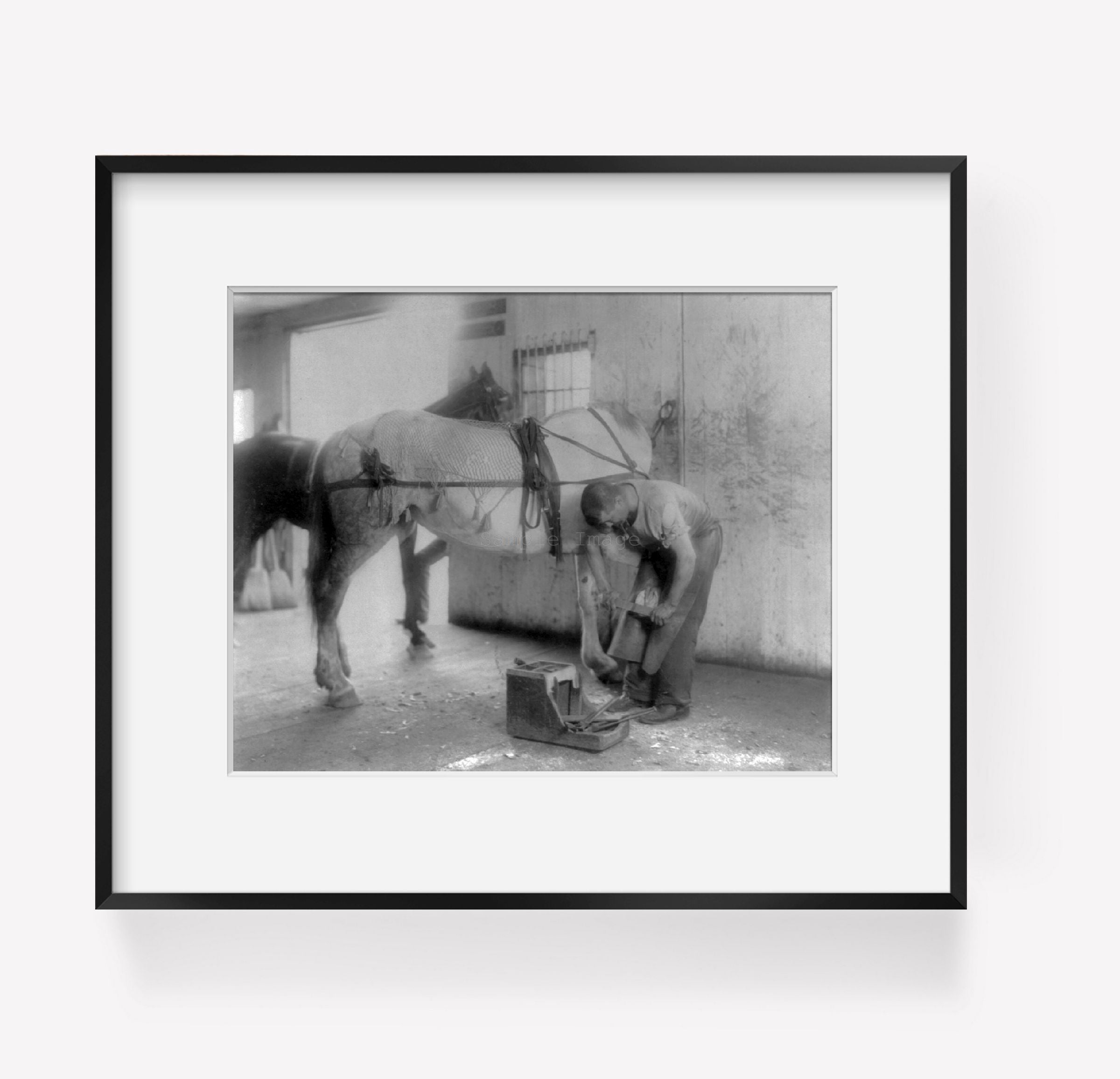 Photo: The village blacksmith, farrier, horse shoe, hoof, c1897