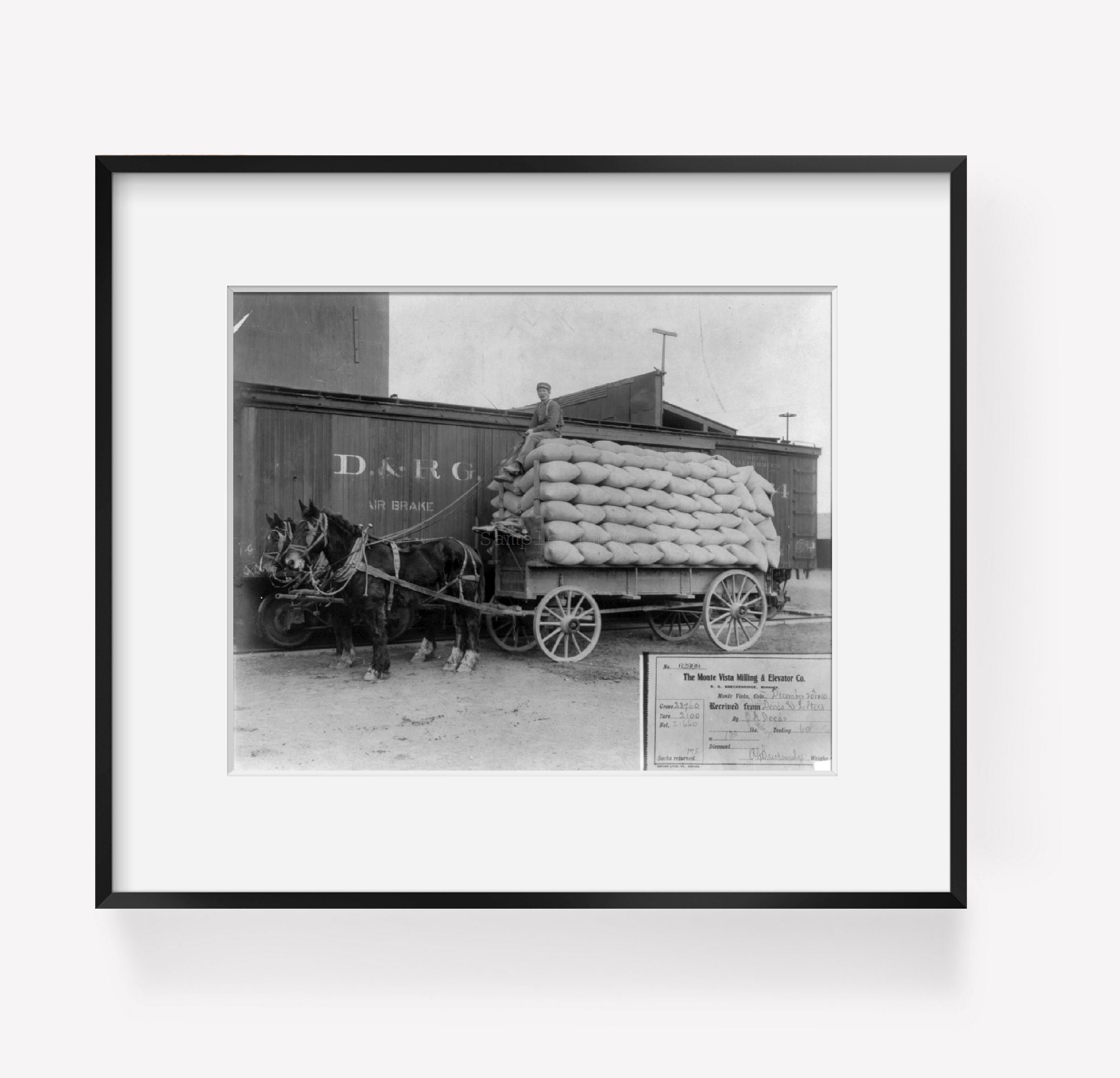 1910 Photo Horse-drawn wagon loaded with 175 sacks of wheat beside freight car
