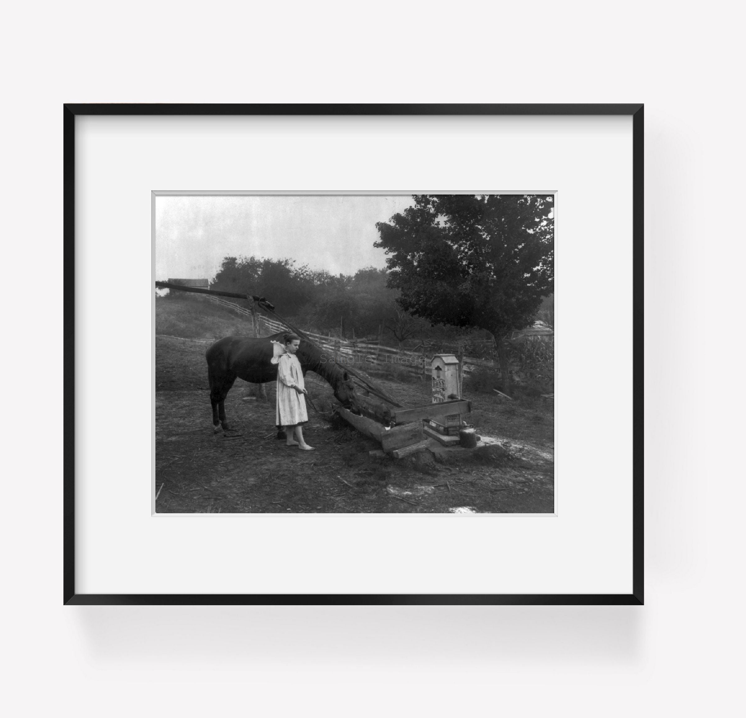Photo: Farm scene, barefoot girl, horse drinking from trough, water pump, aqueduct, c