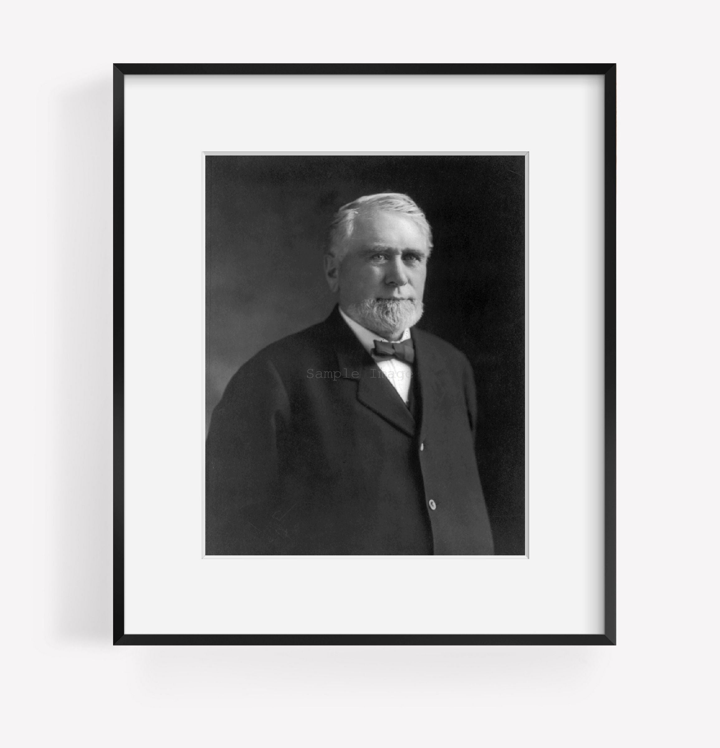 Photo: Knute Nelson, 1843-1923, Republican Politician, Governor