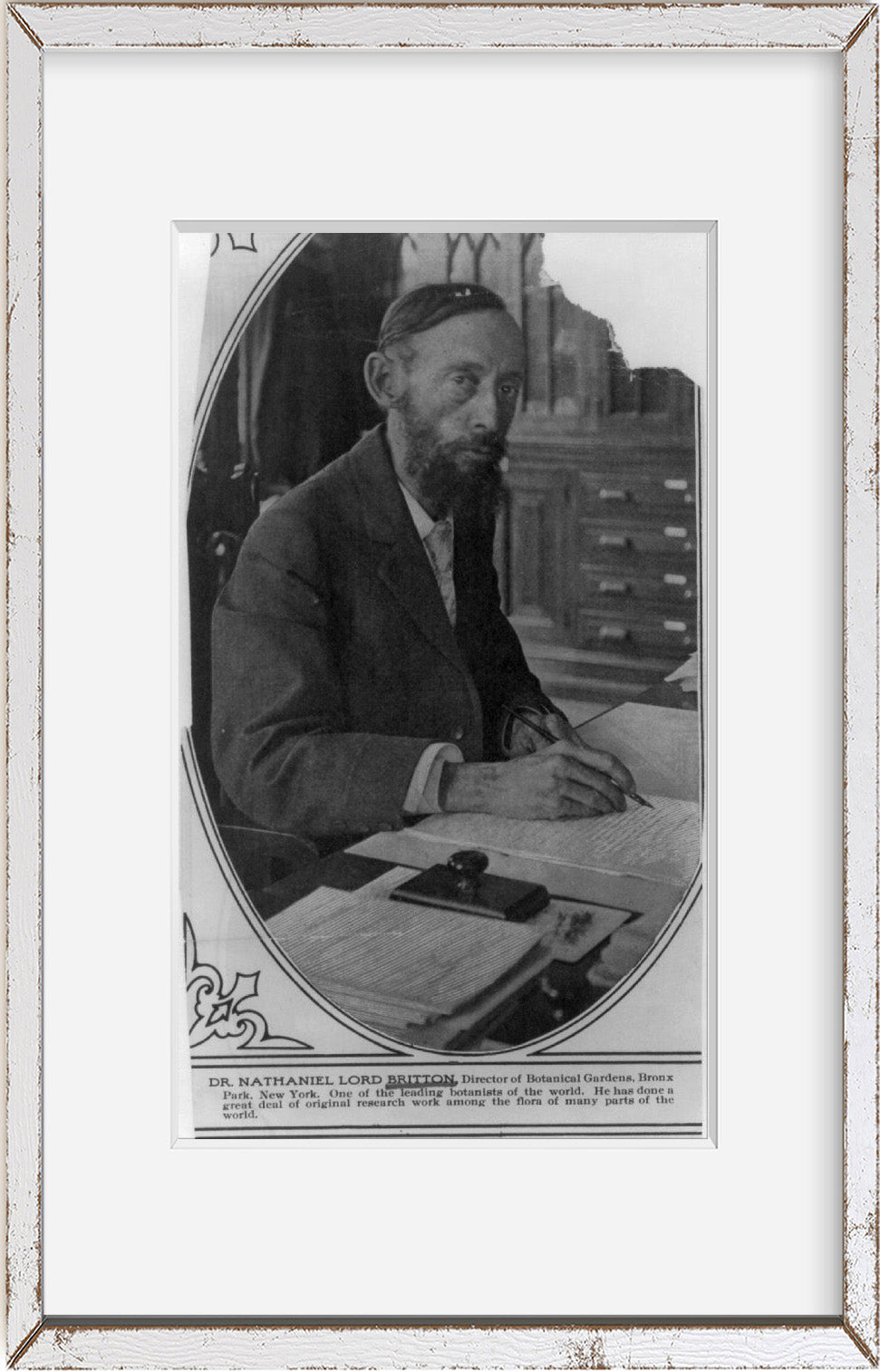 Photo: Nathaniel Lord Britton, 1859-1934, American Botanist