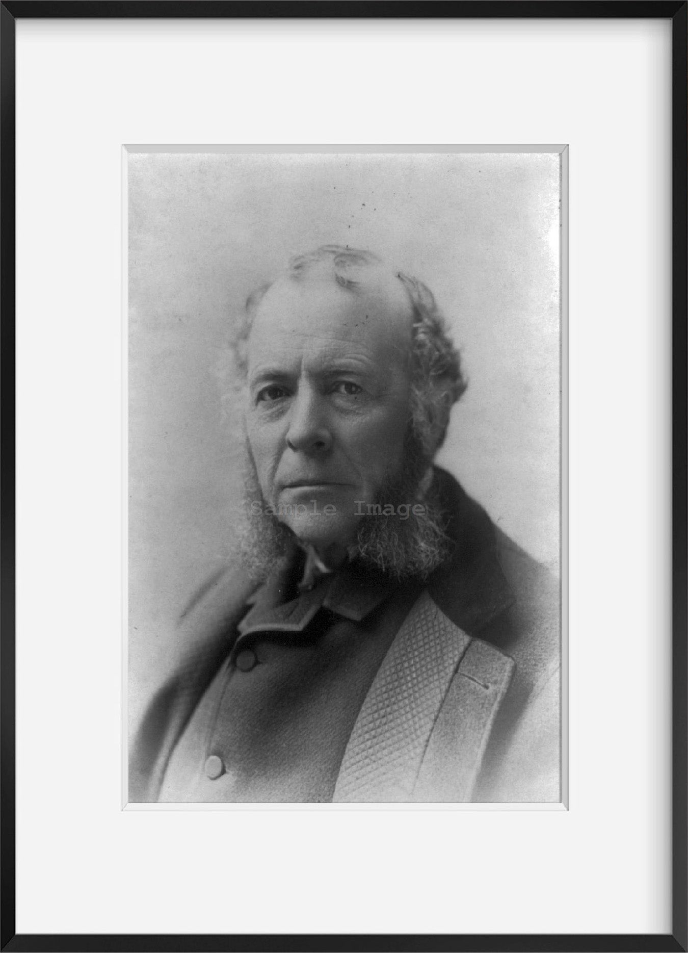 Photo: Edward John Phelps, 1822-1900, Lawyer, Diplomat, Vermont, VT