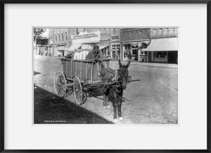 Photo: African American boy driving donkey wagon, bale of cotton, Camden, Kershaw C