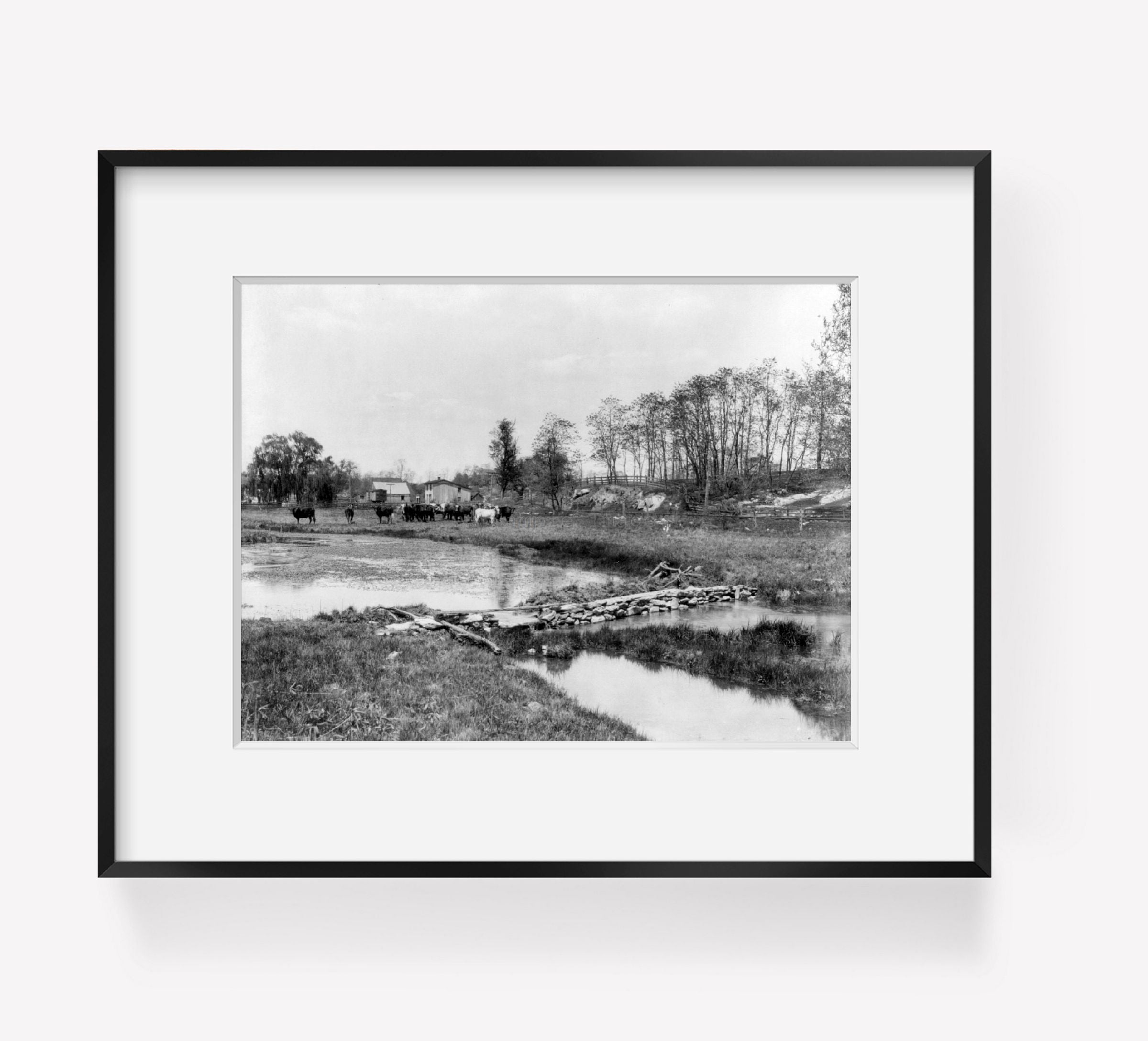 c1901 photograph of W. Va. - Charleston vicinity - views of Harewood, the estate
