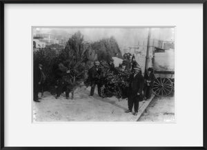 Photo: African Americans selling Christmas trees, holly, Washington, D.C., c1920, sno