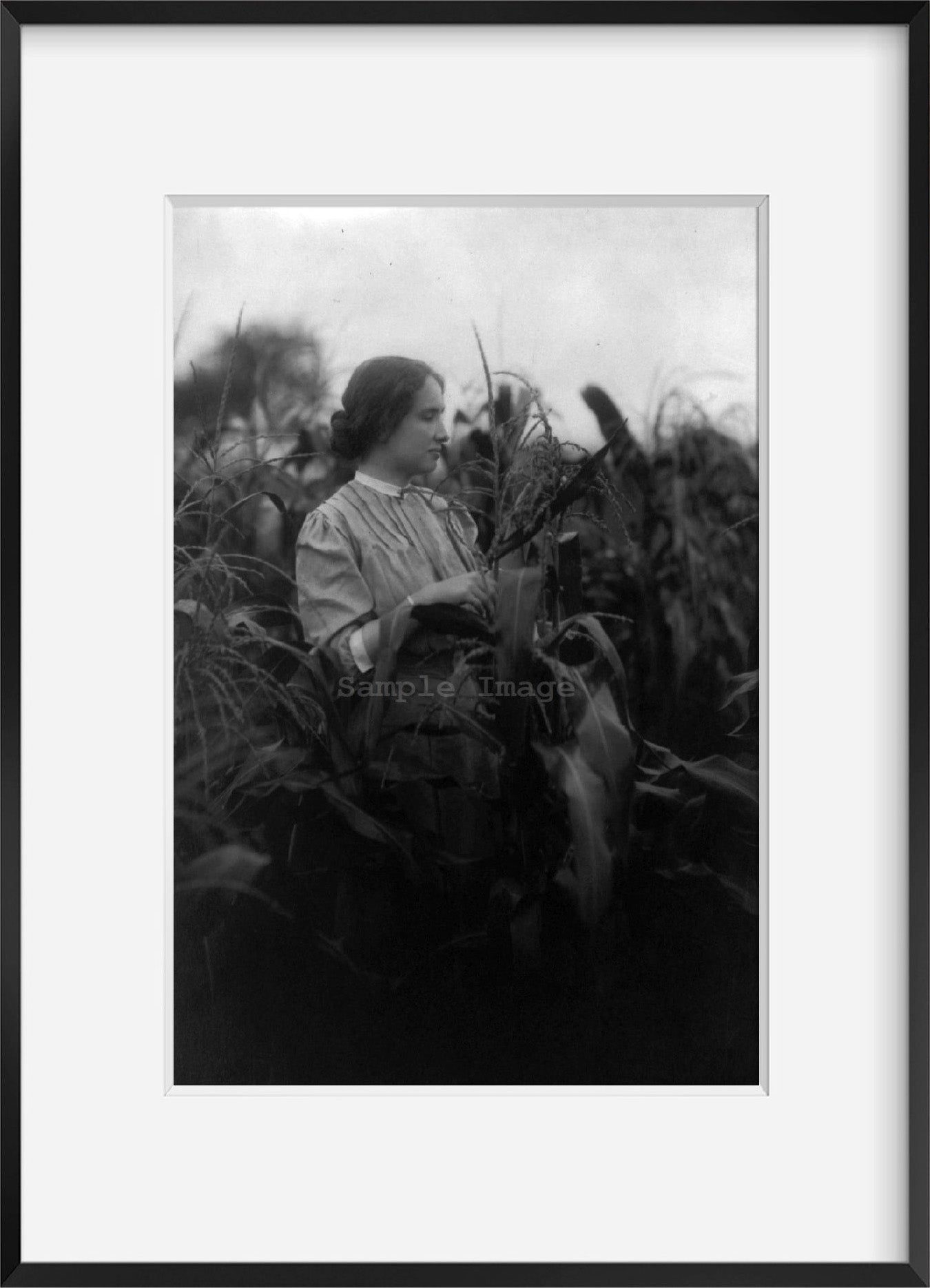 Photo: Helen Adams Keller, 1880-1968, standing in cornfield