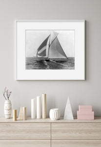 c1898 photograph of Sailboats sailing: SHAMROCK