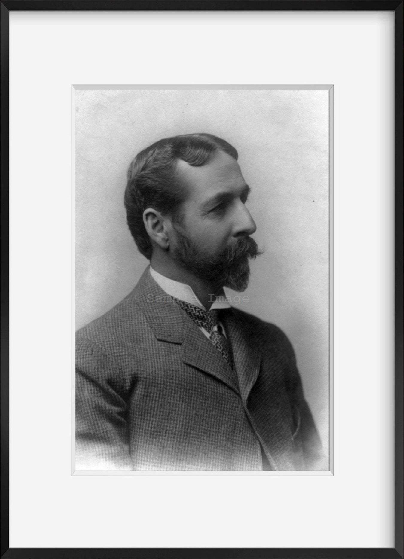 Photo: Samuel Franklin Emmons, 1841-1911, American Geologist, born in Boston 1
